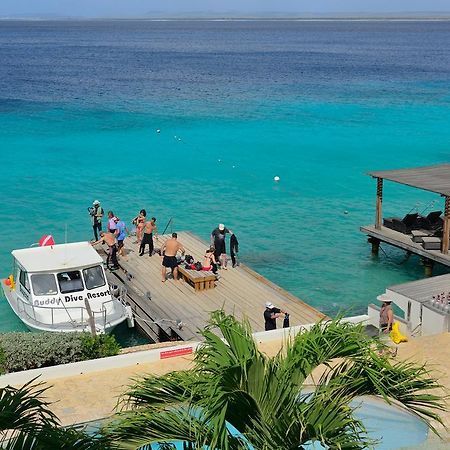 Belmar Oceanfront Apartments Bonaire Exteriör bild