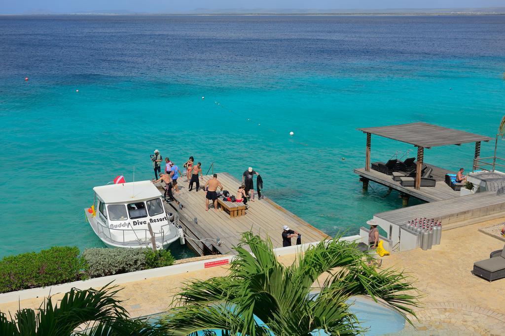 Belmar Oceanfront Apartments Bonaire Exteriör bild