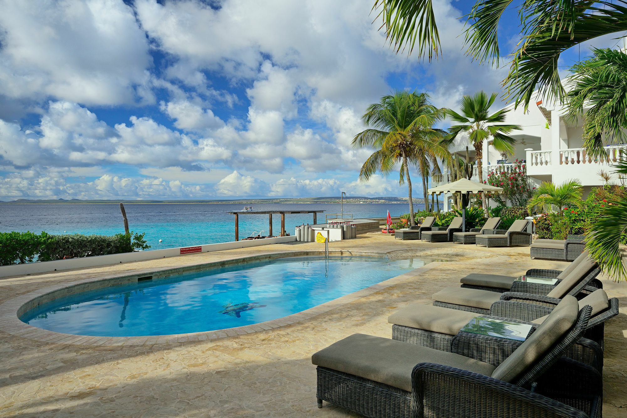Belmar Oceanfront Apartments Bonaire Exteriör bild